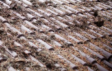 Stoborough roof cleaning companies