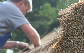 professional Stoborough thatchers